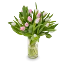 Bouquet of pink tulips